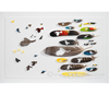 Chris Maynard feather art
